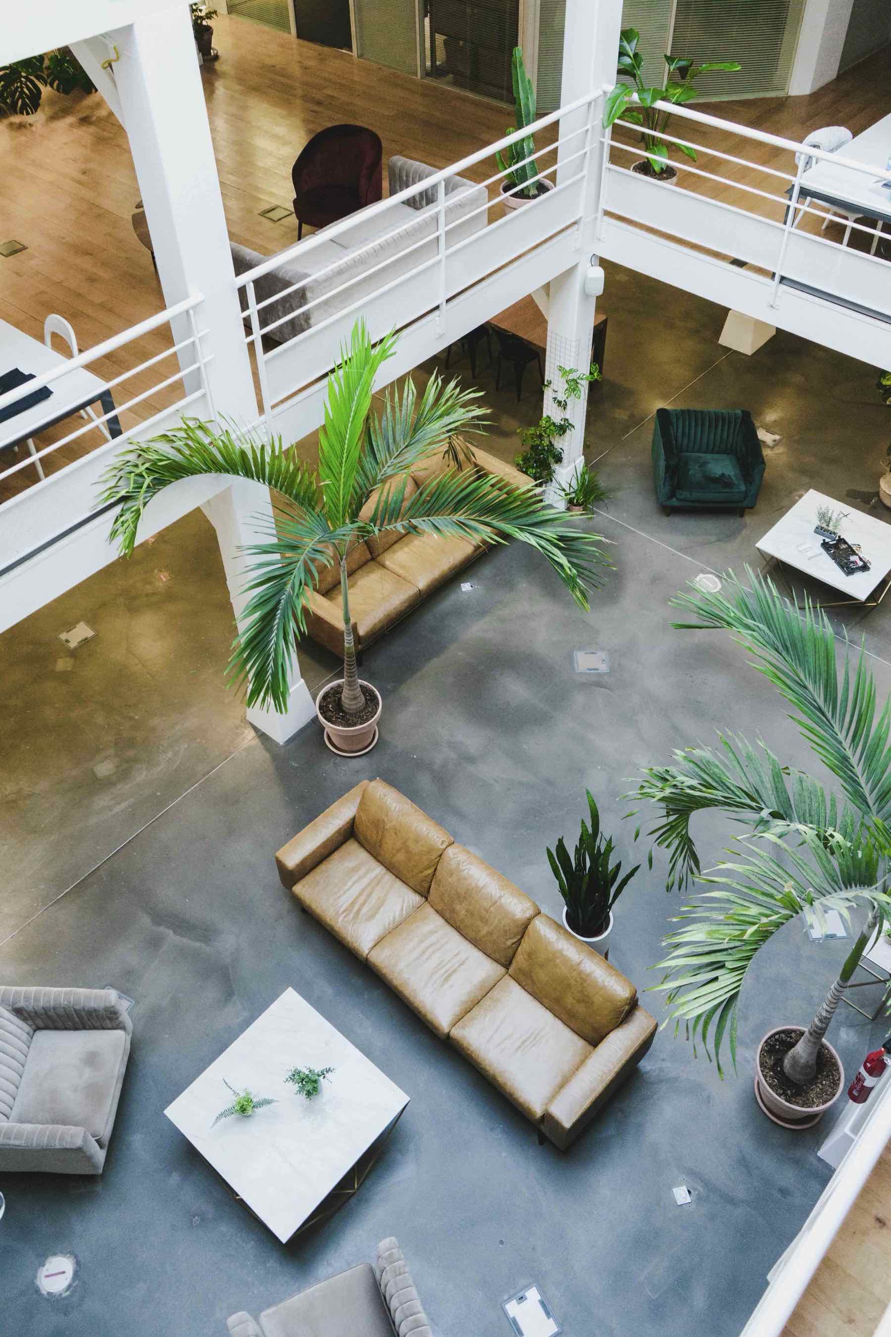 Pousse · Décoration Intérieur